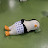 @jiy-i6u