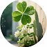 MIcnPdV0Fi0-channel-avatar-Tiểu Thảo🍀