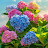 @starseed-n9g
