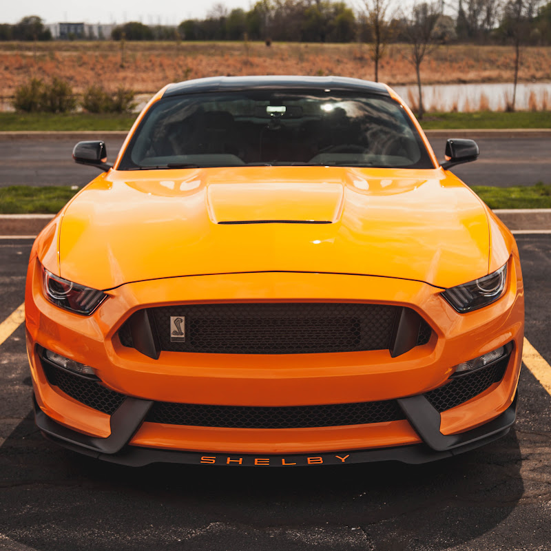 Pumpkin Cobra