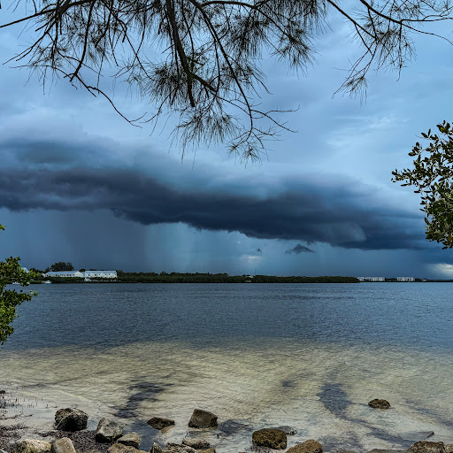 Tampa Bay Storms