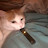 @qiminaqiemi97 Avatar