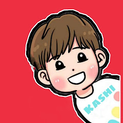 Extra Kashi net worth