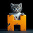 Ez8Ay5zLGUw-channel-avatar-HaHa Cats