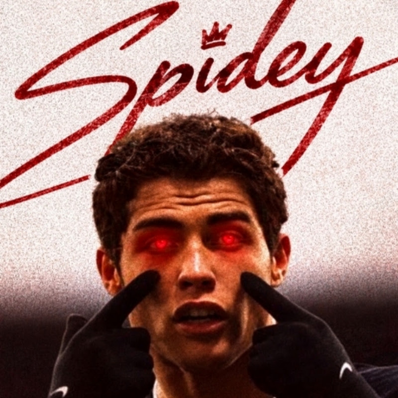 『Spidey Neo』