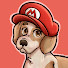 deO8_zvKaCU-channel-avatar-Marktendo