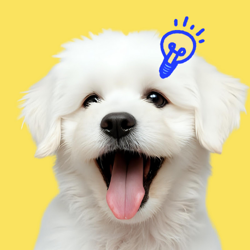 わかる犬【犬雑学】