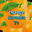 Orange Karaoke Tv