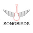 JoQVAWbA-F8-channel-avatar-Songbirds Foundation