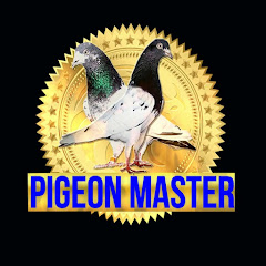 Pigeon Master Avatar