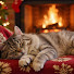 GHZ28bp8Y0g-channel-avatar-Cozy Cat Fireplace