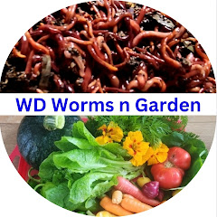 WD Worms n Garden net worth