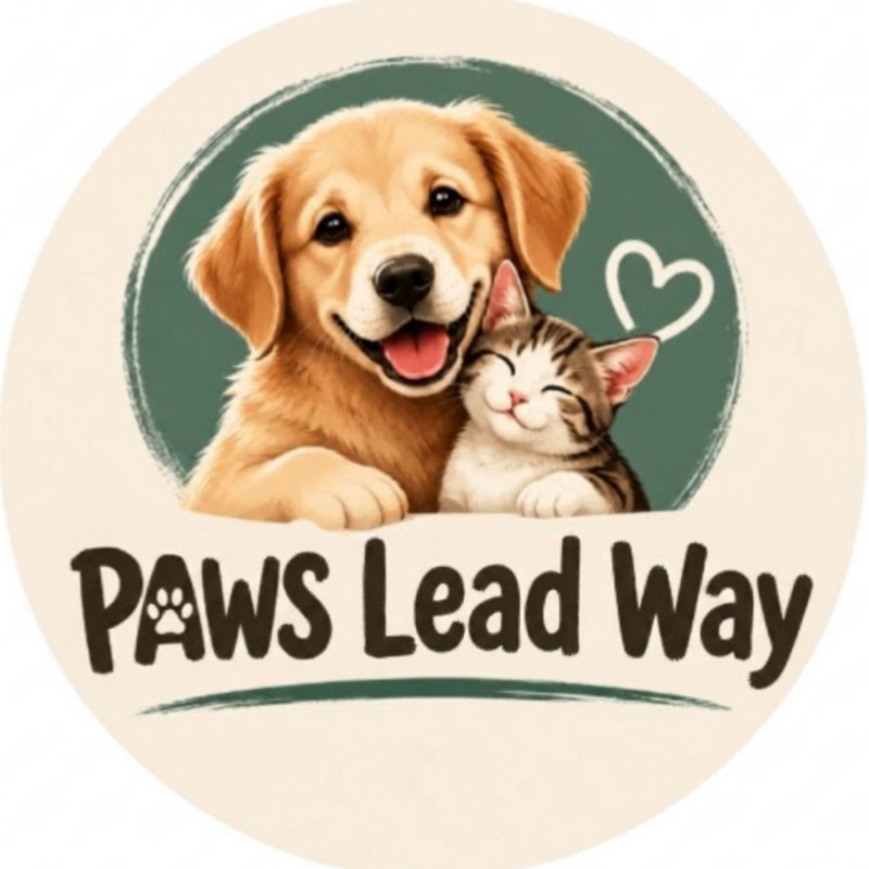 Paws Lead Way
