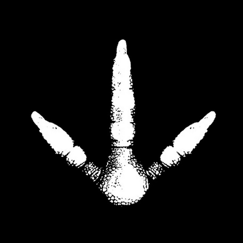 Channel Avatar