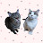 @광복아만세해