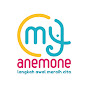 Anemone Indonesia logo