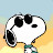 Snoopy home 