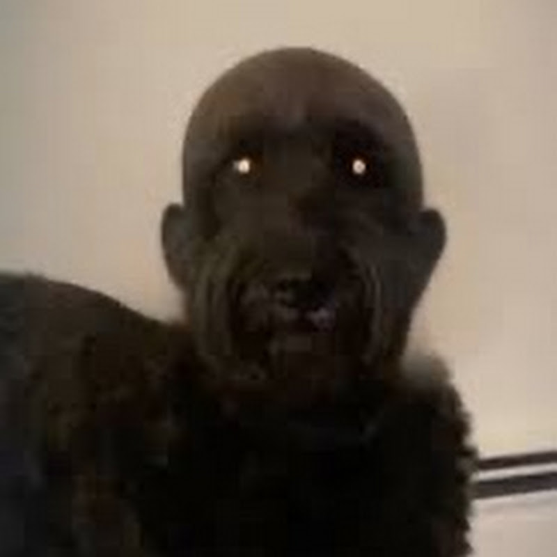 Phelan