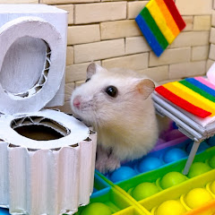 Hamster Sophie channel avatar