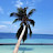 @user-realhouse