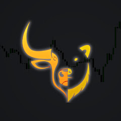 DT4B Trader net worth