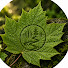 MHBeebuBiiY-channel-avatar-Living Nature Sounds