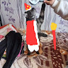 Автор