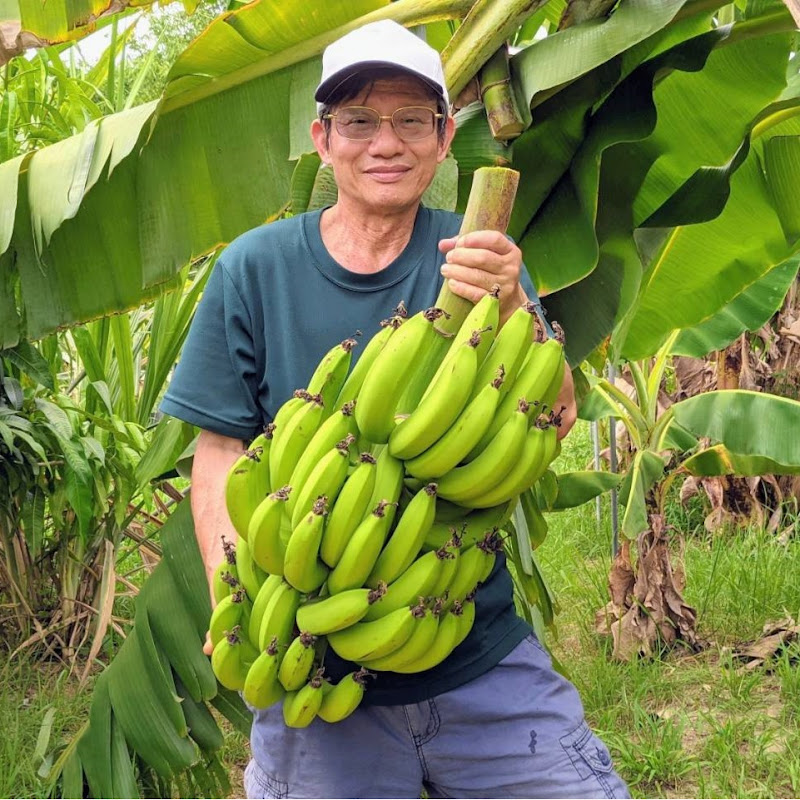 瑞星的一畝田 Logo