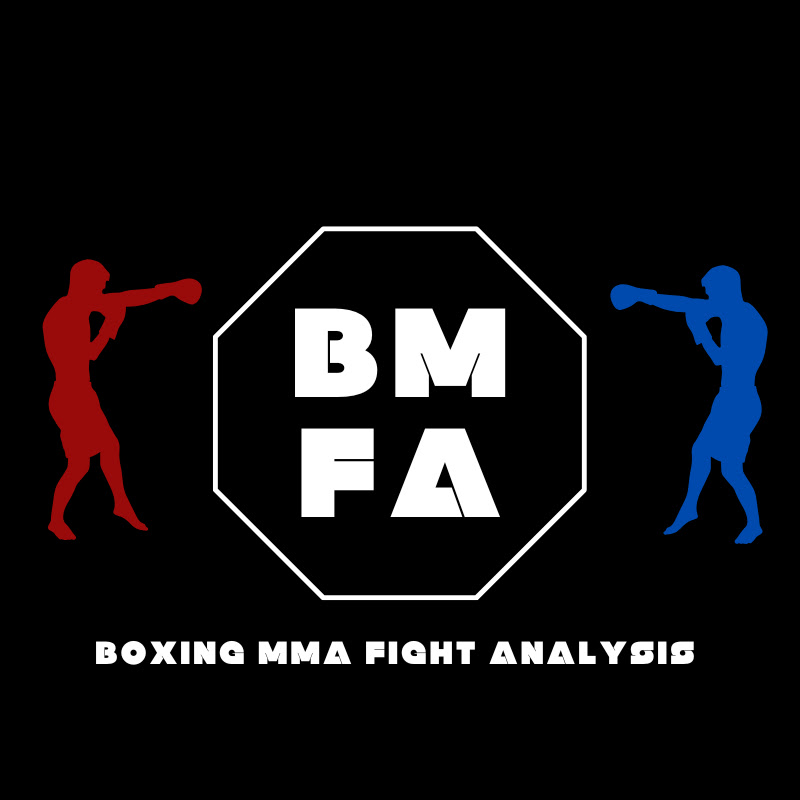 Boxing MMA Fight Analysis