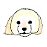 JxnF5olgep0-channel-avatar-私と夫と犬のモカ