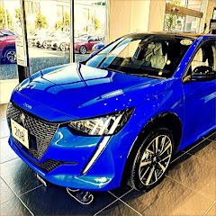 プジョー208 がある生活アイコン画像