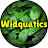 Widquatics