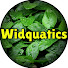 WBDMy78tRVI-channel-avatar-Widquatics