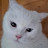 @Umut0970