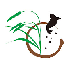 天然素材蔵チャンネル