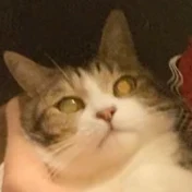 ミックンピョン