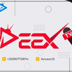 Deex TV net worth