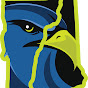 Upper Valley Nighthawks logo