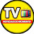 TV RESUMO DE NOVELA!