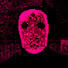 smJI-pHUYhA-channel-avatar-Games Specter