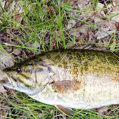 fishing with zach
