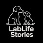 LabLife Stories