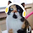 _G8BJSlW8gM-channel-avatar-Apolla (Mr.Apopa)