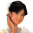 Teresa Teng Universe