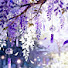 OvkolgQq87Q-channel-avatar-𑁍wisteria-san𓍯𑁍