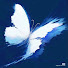 2t5PPYCe860-channel-avatar-Shaepherd