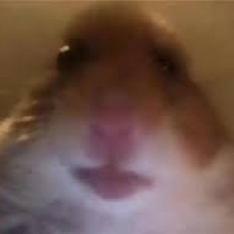 Hamster React