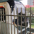 agxB9GZ-LrA-channel-avatar-SG3251K Transportations 