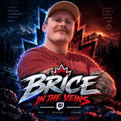BriceInTheVeins