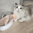 @푸름-h9c